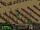 Graphics Megamod