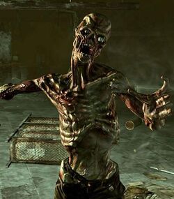 Fallout3-feral-ghoul