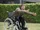 Aflevering 4715