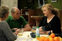 Lindajanfrancine afl4390 2