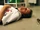 Aflevering 4960