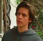 Peter Van den Bossche (378 kB) Peter