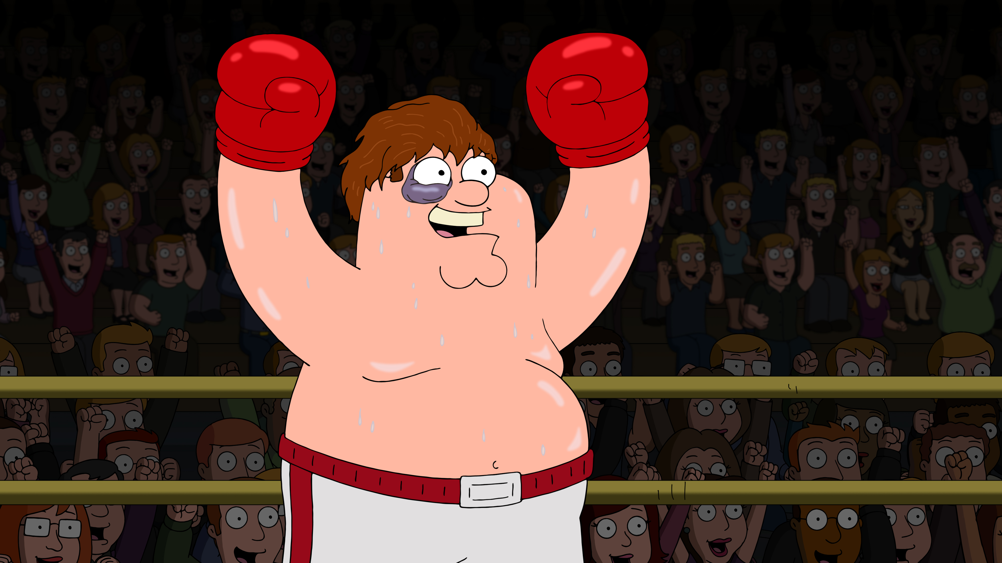 McCoy Stadium, Family Guy Wiki