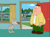 Toddgriffin.png