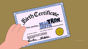 Megbirthcert