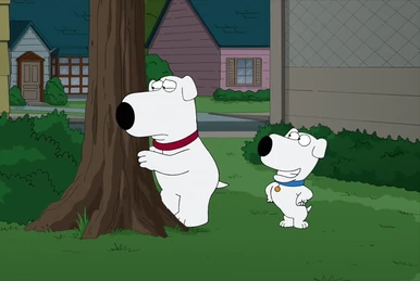 Biscuit | Family Guy Wiki | Fandom