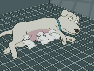 Biscuit | Family Guy Wiki | Fandom