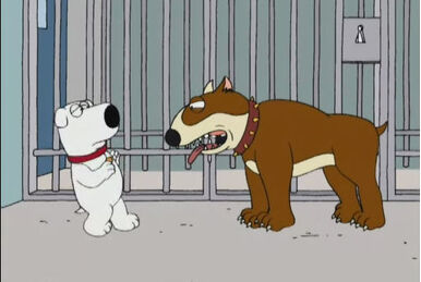 Screwed the Pooch Family Guy Wiki Fandom