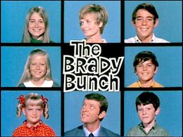 The Brady Bunch.jpg