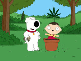 420.jpg
