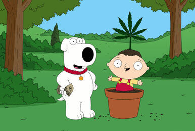 Robert Mapplethorpe, Family Guy Wiki