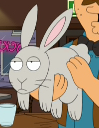 Steven the Rabbit.png