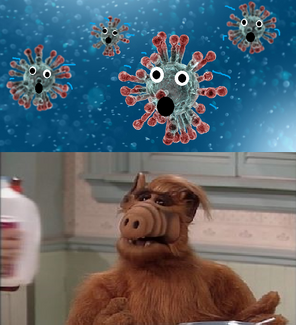 Alf stuff hot sale