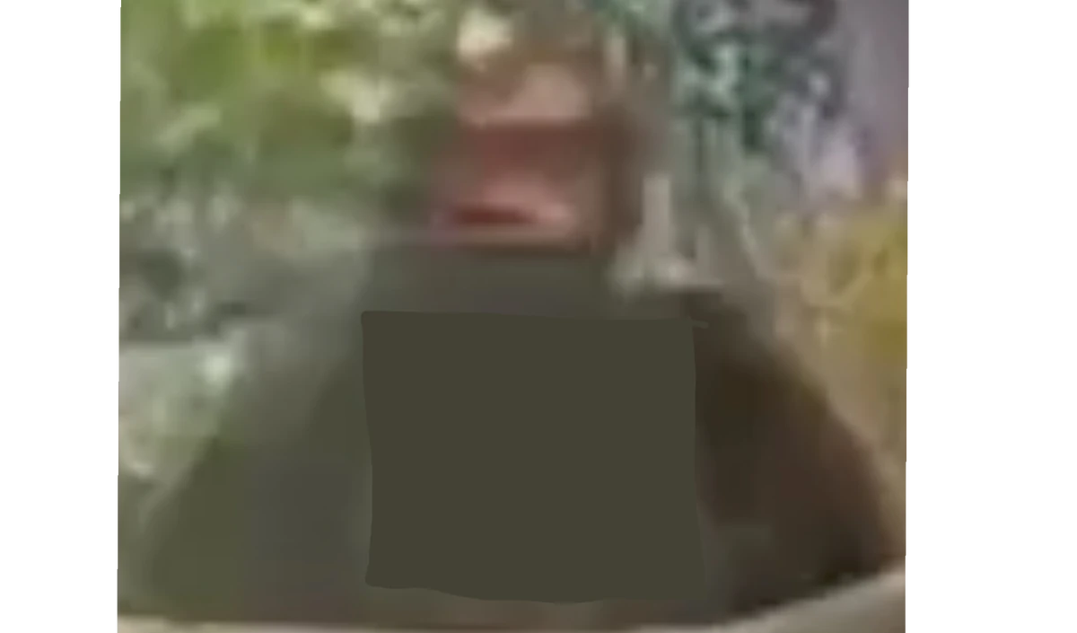 Square Things Counting Crow | Fan art Fun Wiki | Fandom