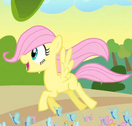 Fluttershy Filly S1E23