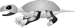 Skeleturtle Infinite