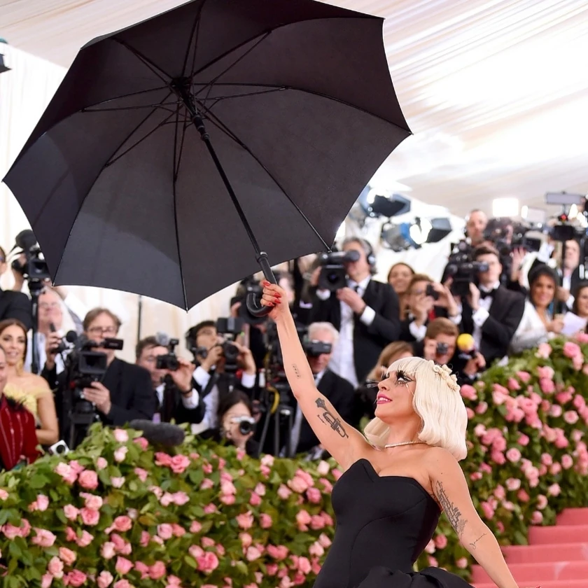 Lady Gaga | Fan Shows Wiki | Fandom