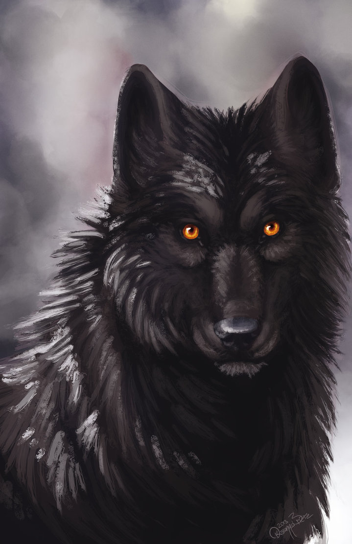 black wolves with yellow eyes