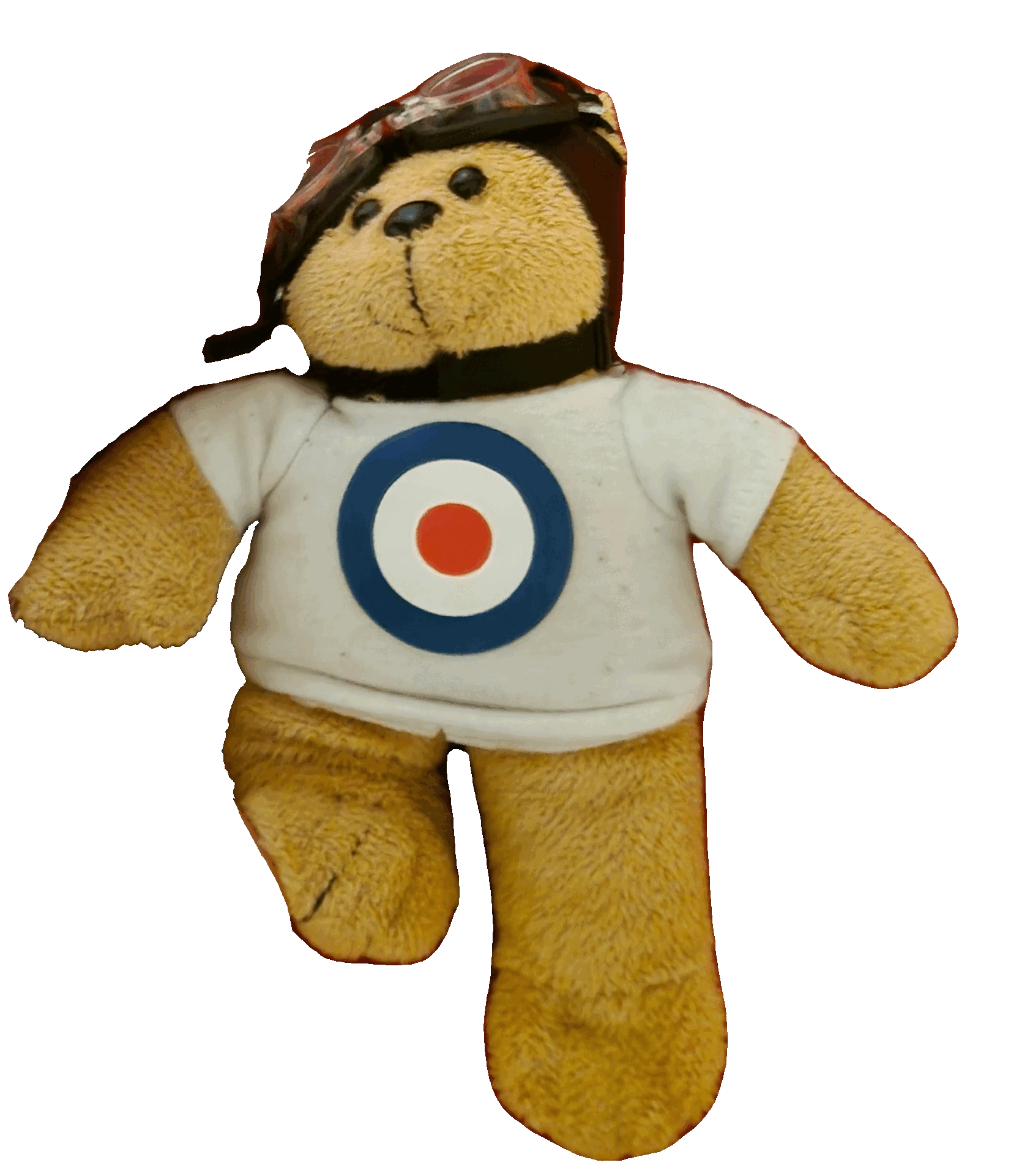 Tedd FanBEARS Wiki Fandom