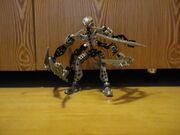 DSC02027.jpg