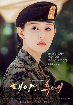 Descendants of the Sun - Wikipedia