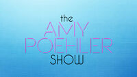 The Amy Poehler Show(January 2015 - Present)