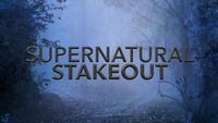 Supernatural Stakeout(January 2015 - Present)