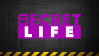 Secret Life(February 2015 - Present)