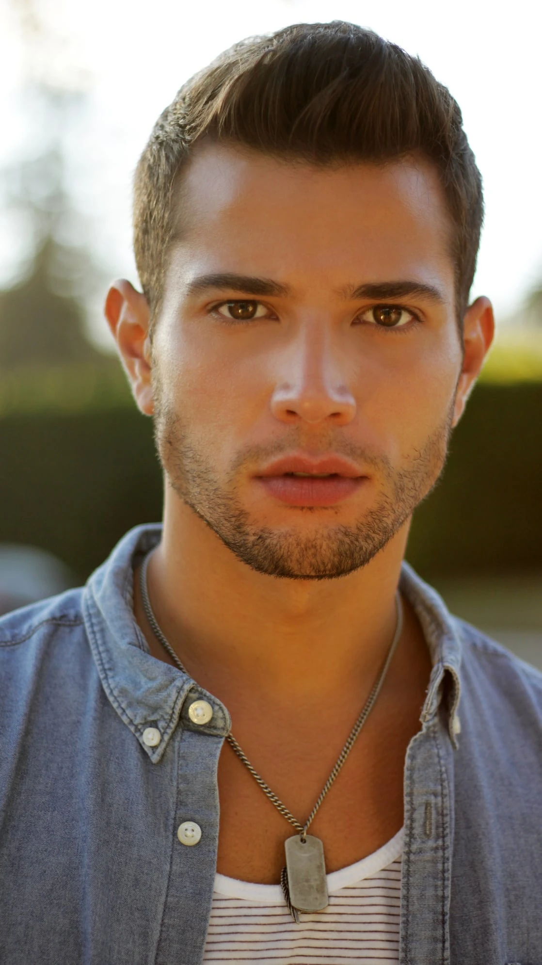 Scamander Wikia Fanfiction Contágio Fandom