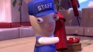 Staff Rabbid