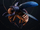Flame beetle