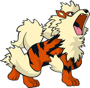 Growlithe - Arcanine