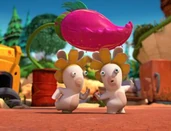 Les-lapins-cretins-invasion.jpg (17 KB) Flower Rabbids