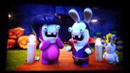 Female Teddy Rabbid