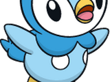 Piplup