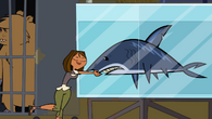 The shark is Courtney's animal buddy.