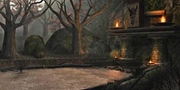 Krimson Forest