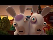 Black Eye Rabbid