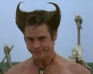 Bull hairstyle
