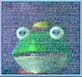 Slippy's advice channel