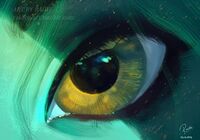Tumblr p29dh0S2dG1wpby82o1 1280.jpg