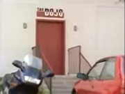 Tao Dojo