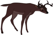 Adult Ronno