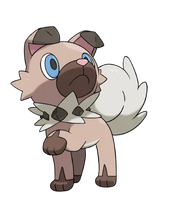 744Rockruff