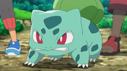 As Bulbasaur.