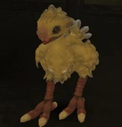 Adolescent Chocobo (FFXI)