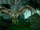 Gackle bat