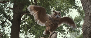 Owl flying in Christopher Robin