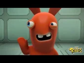 Red Rabbid.jpg (9 KB) Red Rabbid
