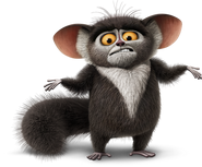 Aye-Aye Lemur